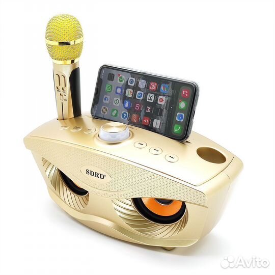 Портативная караоке система sdrd SD-306 золотая