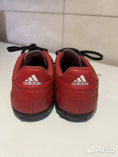 Сороконожки