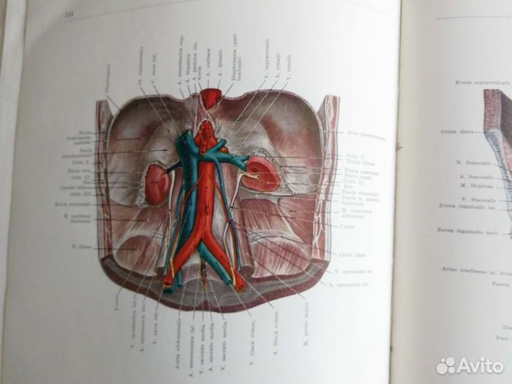 Книги медицинские антикварные