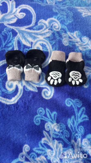 Носки для собак