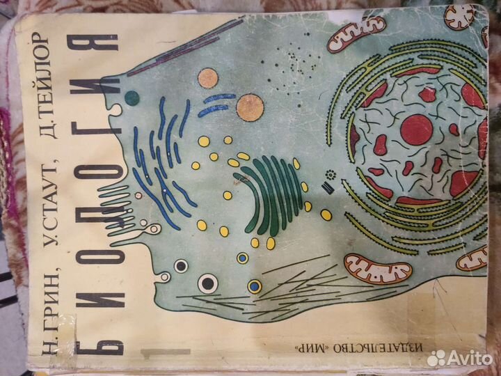 Биология грин стаут тейлор