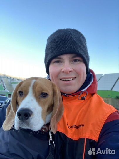 Кинолог. Дрессировка. Собаководство. Передержка