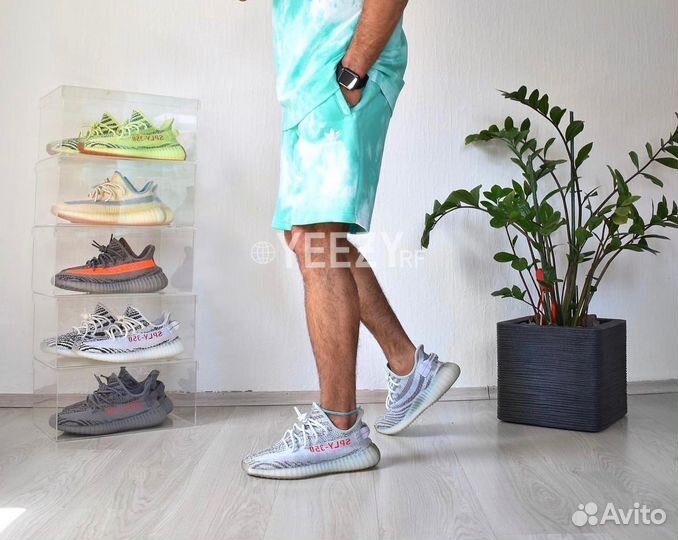 Кроссовки Adidas Yeezy Boost 350 V2 Blue Tint