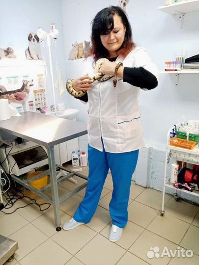 Скорая ветеринарная помощь. Ветеринарный врач