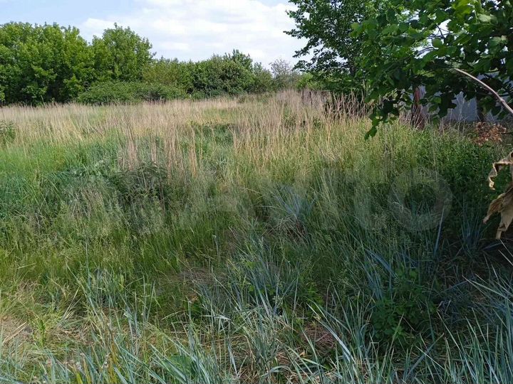 Участок 24,4 сот. (ИЖС)