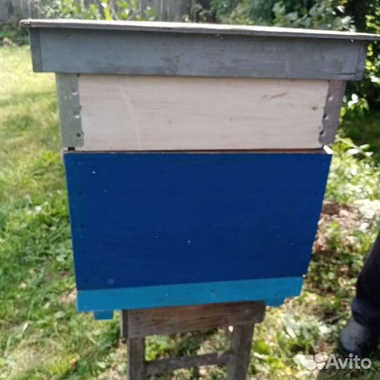 Улей для пчел
