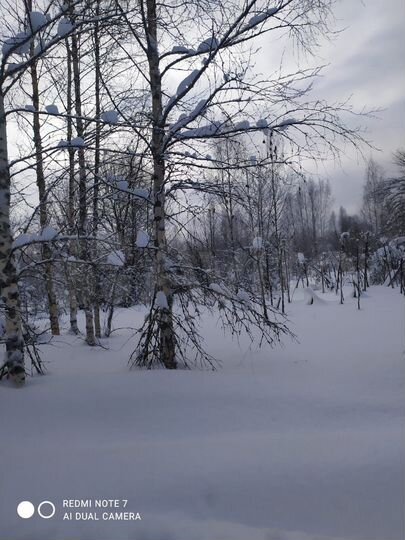 Участок 1,82 га (ИЖС)