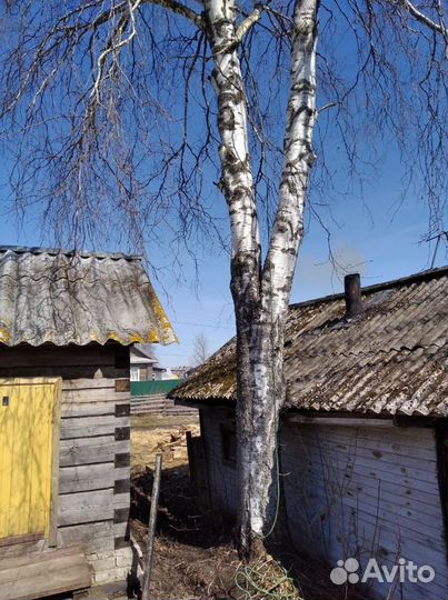 Валка-спил-уборка аварийных деревьев,веток,кустов