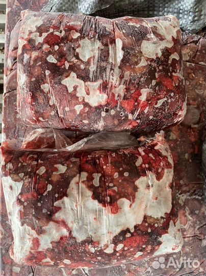 Шрот из мяса и субпродуктов