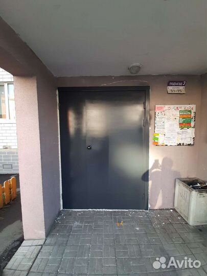 Подьездная металлическая дверь с домафоном либо ко