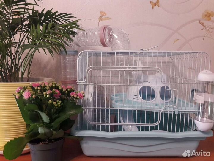 Продам клетки/комплектующие для клеток