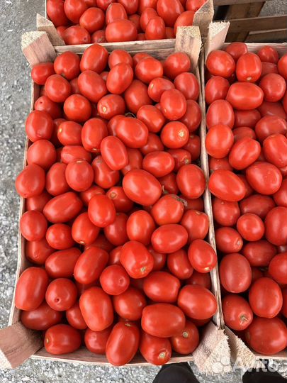 Перец болгарский красный