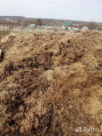 Конский навоз