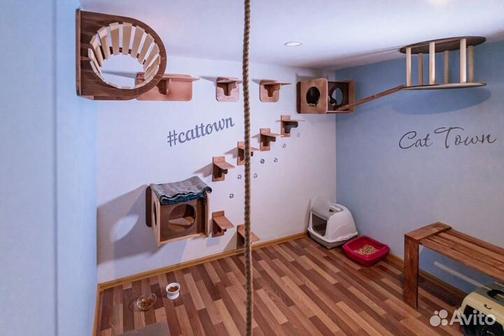 Зоогостиница для кошек