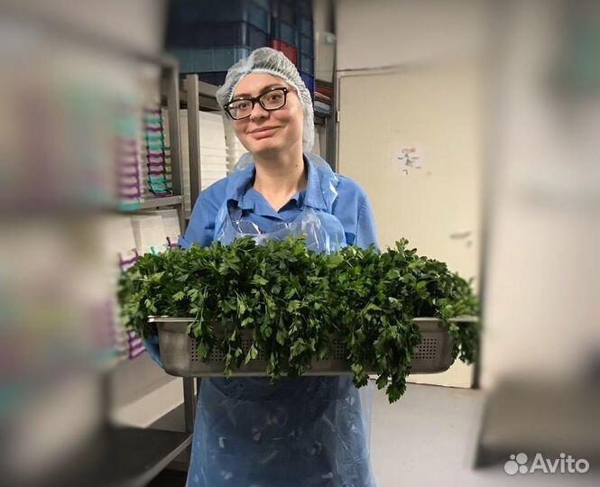 Кухонный рабочий (ул. Тургенева)