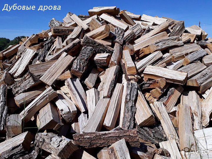 Дрова дубовые