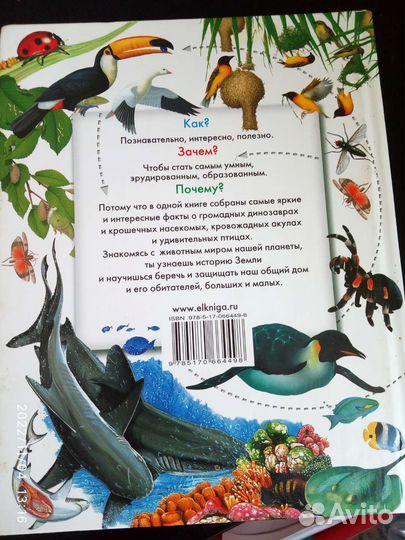 Детская энциклопедия