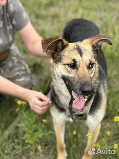 Сара ждёт семью