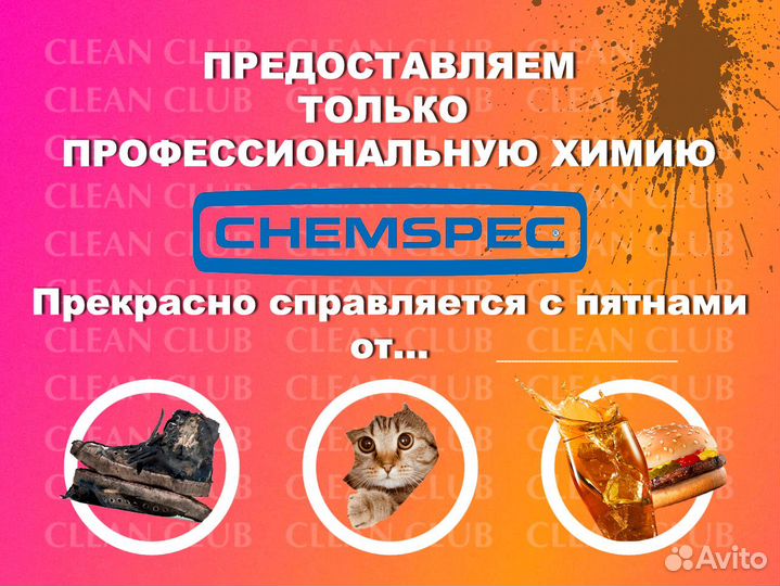 Аренда моющего пылесоса karcher
