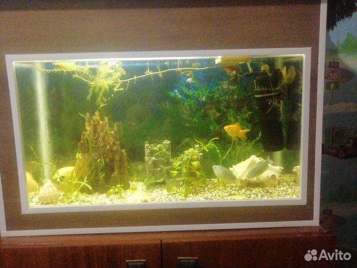 Аквариум с рыбками и полная комплектация