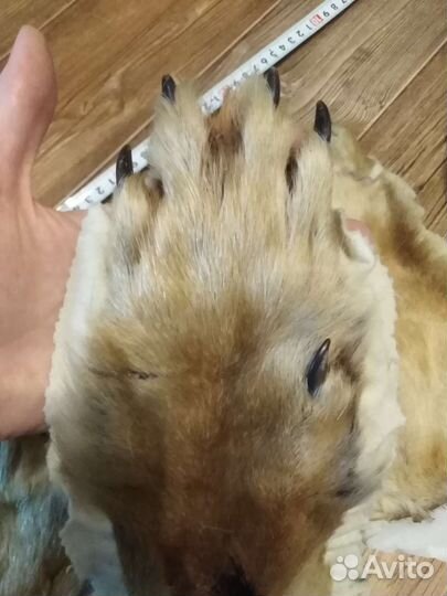 Лапа, шкурки, мех, кунка волка, лисы (имитация)