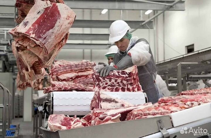 Ищу займ в готовый бизнес, доход 1384394 в месяц