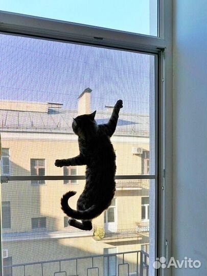 Москитные сетки на окна заказ