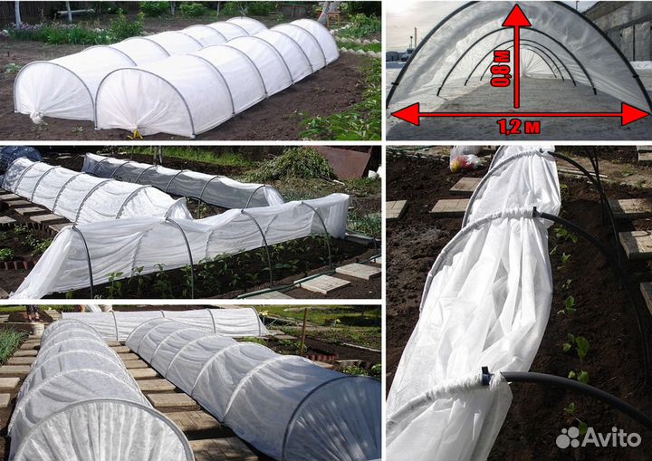 Парник тоннельного типа