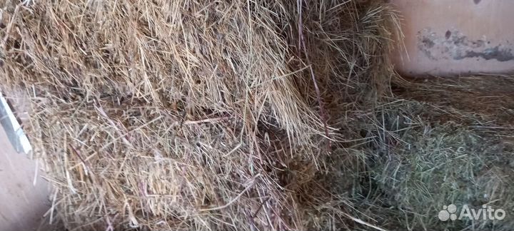 Сено в тюках