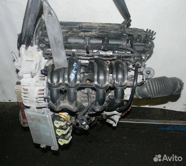 Двигатель Ford Fiesta 1.25 snja