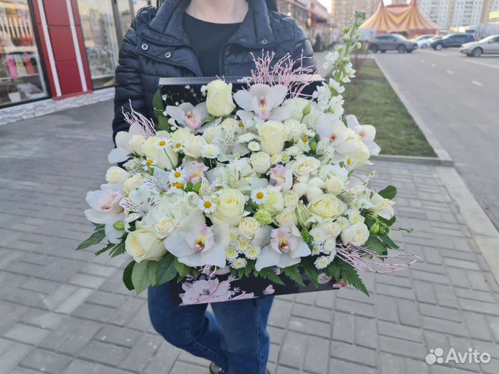 Орхидеи в Липецке