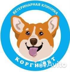 Ветеринарный врач