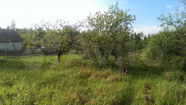 Участок 5 сот. (СНТ, ДНП)