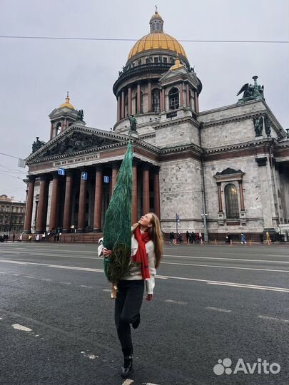 Елка новогодняя Нордмана 3 метра