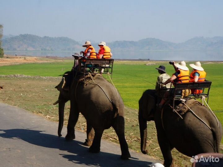 Нячанг Топ-Экскурсия Провинция Даклак и поселок Ли