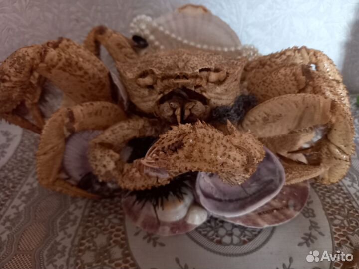 Продам краба, и оборудования для аква и аква на 60