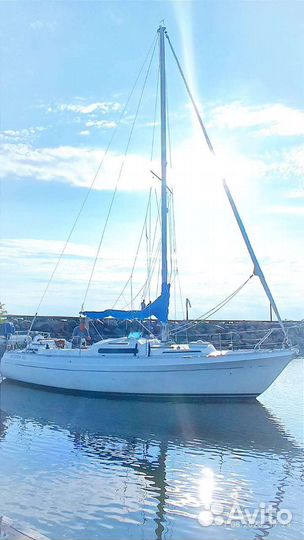 Парусная яхта