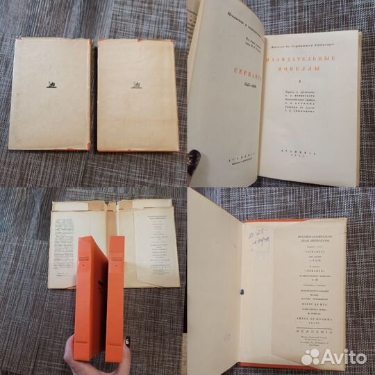 Сервантес,Ремарк,Твен,По,жзл