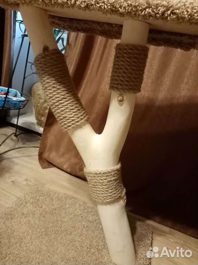 Когтеточка для кошек новая