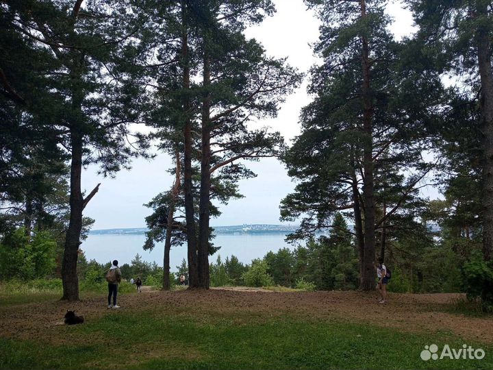 Походы на лошадях