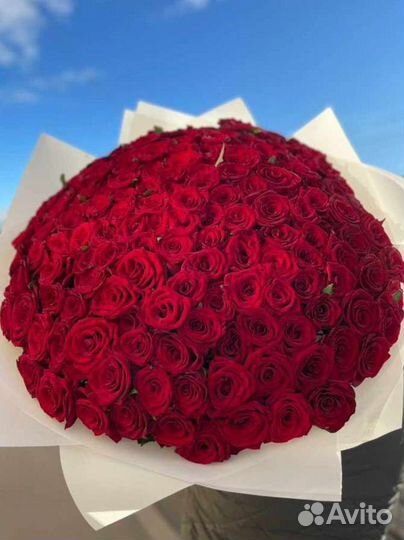 101 роза букет роз с доставкой, Москва Некрасовка