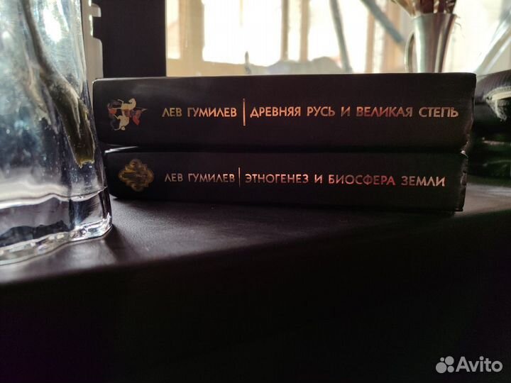 Лев Гумилев. Этногенез и биосфера земли
