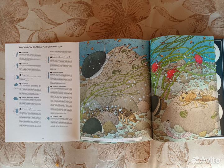 Книги издательства миф