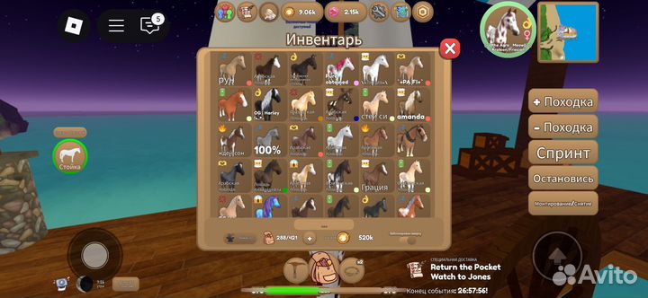 Острова диких лошадей