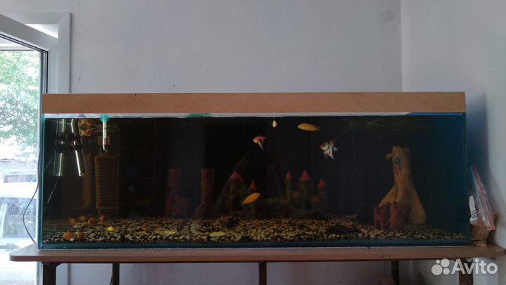 Продам Аквариум