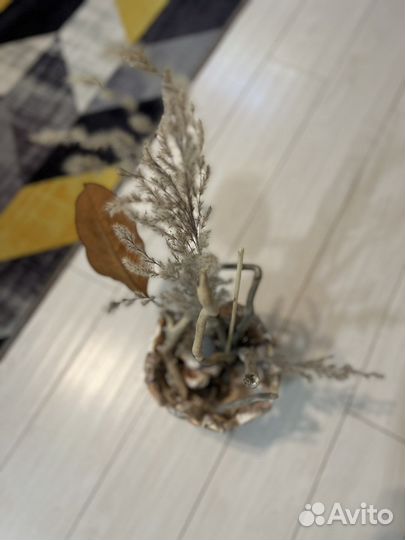 Подарок Энергия моря