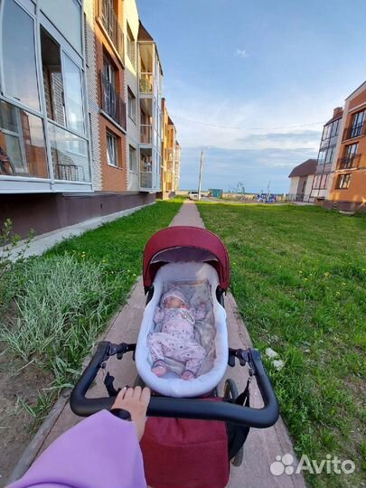 Коляска 2 в 1 nord line