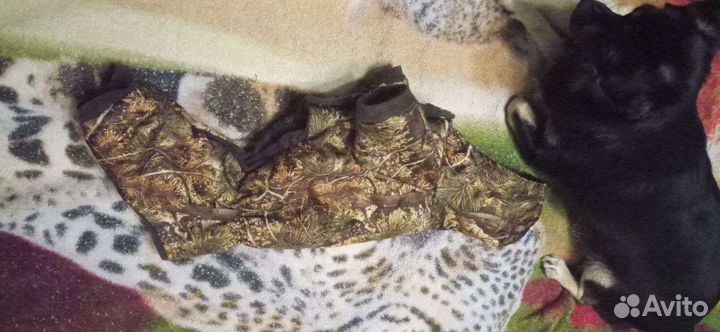 Зимний комбинезон и дождевик для маленькой собаки