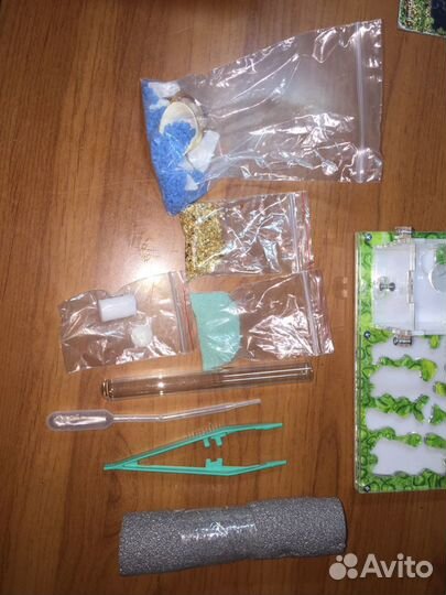 Муравьиная ферма без муравьев