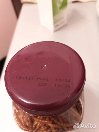 Корм для грызунов - мучной червь Little One